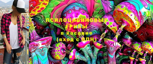 PSILOCYBIN Михайловск