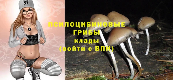 прущая мука Наволоки