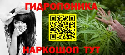 шишки Гусь-Хрустальный