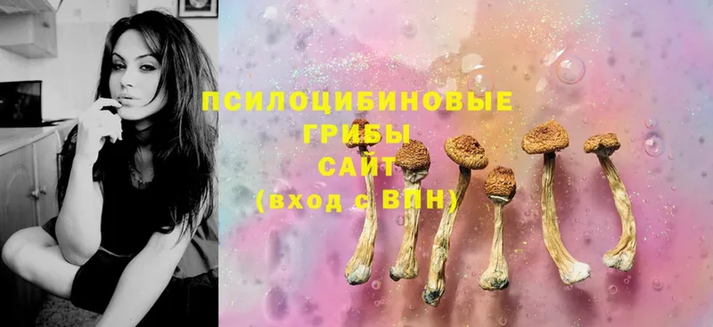 где купить наркотик  Советская Гавань  Галлюциногенные грибы Magic Shrooms 