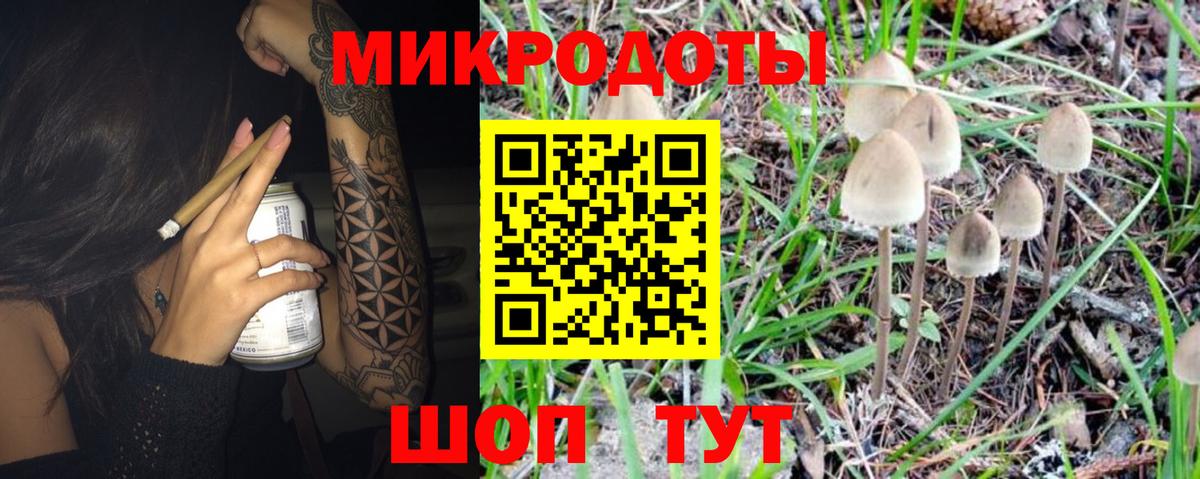 Псилоцибиновые грибы ЛСД  купить   Советская Гавань  Галлюциногенные грибы Cubensis 